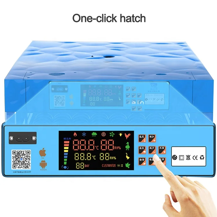 Factory Supply Small Egg Incubator High Accuracy Automatic Chicken Egg Incubator Hatching Machine