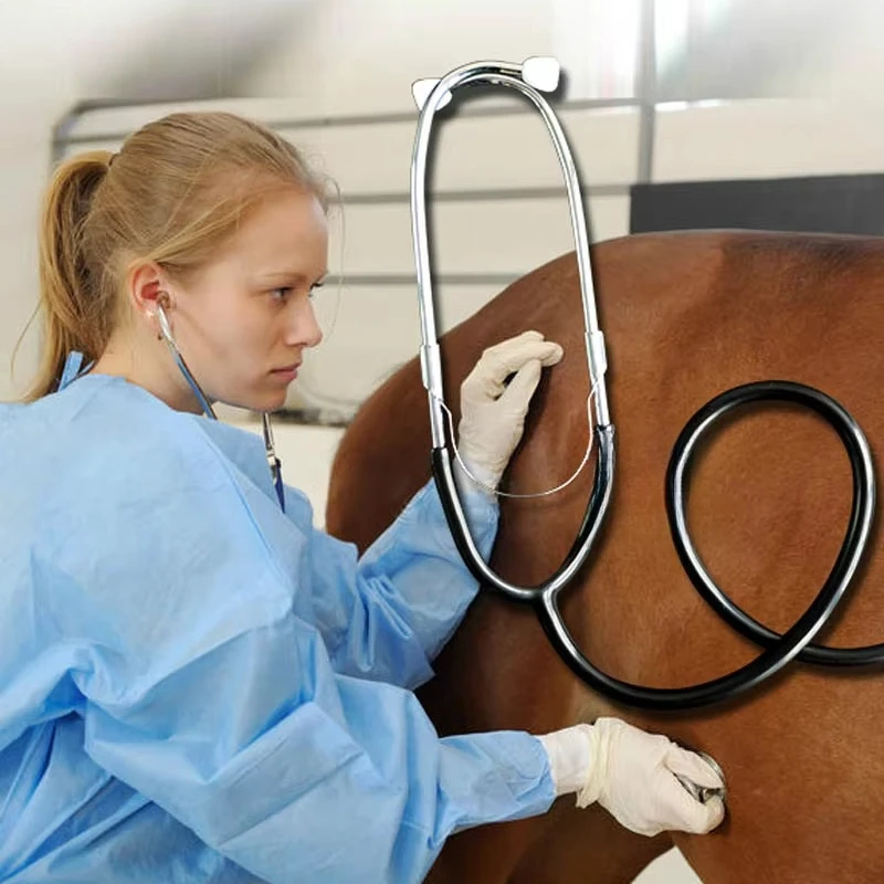 Pet Veterinary Stethoscope Stainless Steel For Pig Horse Cattle Sheep Farm Use