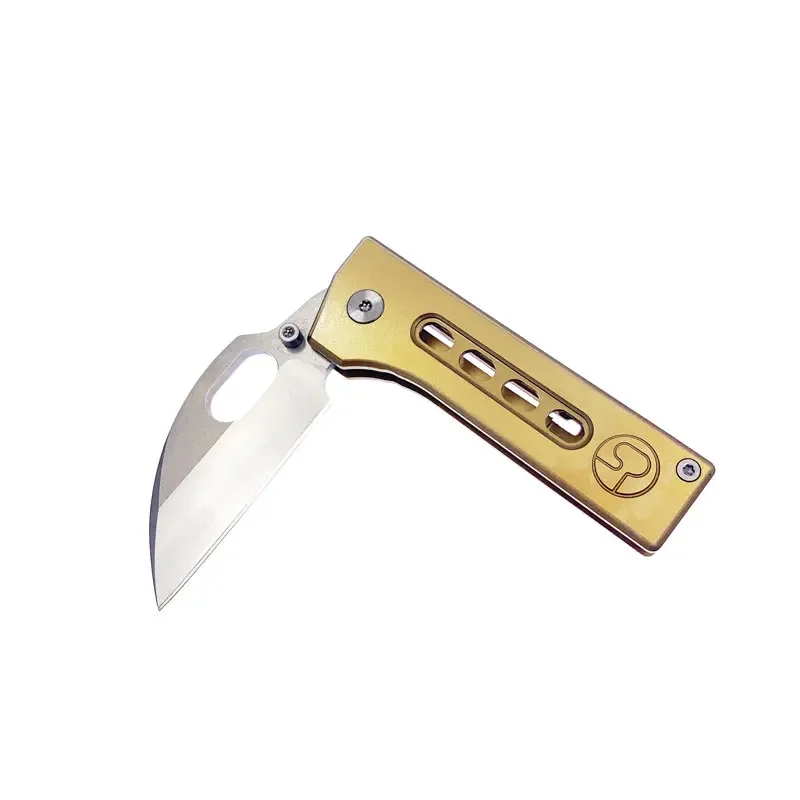 Dropship 5CR15MOV Coltello pieghevole in acciaio inossidabile Utensili manuali portatili da esterno tascabili con clip
