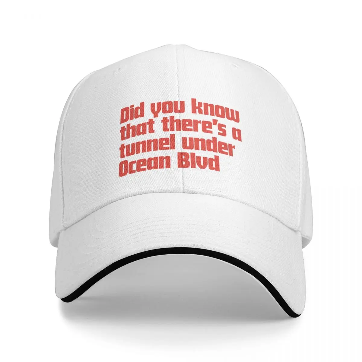 Did you know that there’s a tunnel under Ocean Blvd - Lana Del Rey Baseball Cap Big Size Hat derby hat Mens Women's