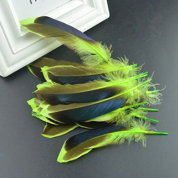 20 Stück/Set Fasanfedern für Bastelarbeiten, 10–15 cm, 4–6 Zoll, natürliche Federn für die Schmuckherstellung, Hochzeitsfedern, Karnevalsaccessoires, zum Selbermachen. – Detail 5
