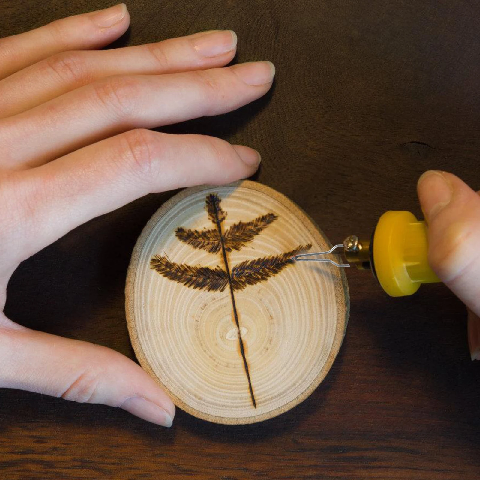 

8Pcs Portable Wood Burning Tips for Detailed Designs Pyrography Kits Wood for Pyrography Wire Nibs Burner