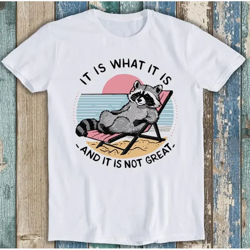 It Is What Relaxing Raccoon Retro Beach Quote Funny T Shirt 1823