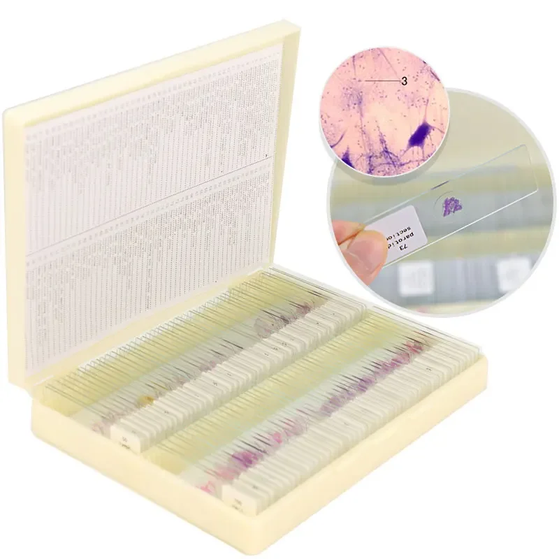 100PCS Human Tissue Sections Histology Prepared Specimen Microscope Slides Human Normal Tissue Embryo Chromosomes