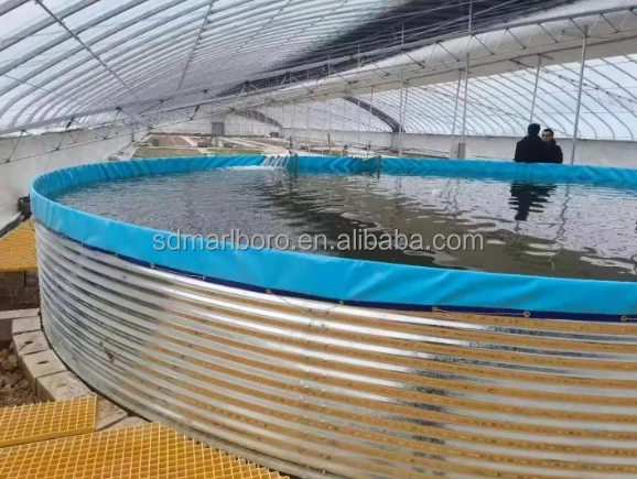 AIROW Popular Design Galvanized Sheets Fish Farming Container Foldable and Economic PVC Tarpaulin Fish Tank
