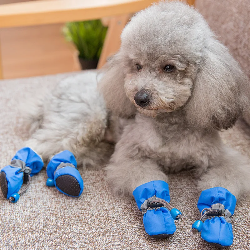 

Upgrade your pet's footwear with these stylish, functional, and trendy waterproof puppy shoes. Say goodbye to those dull old boo