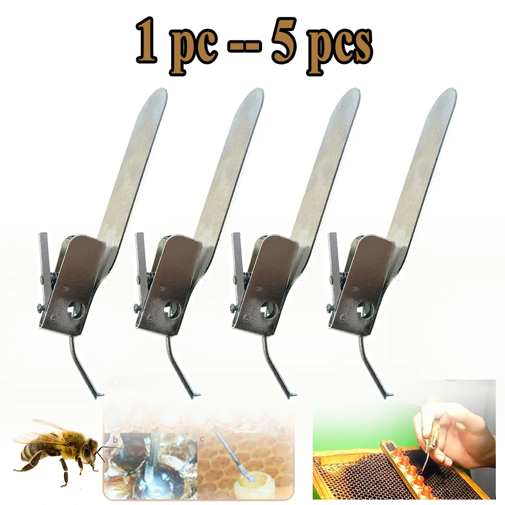 Durable Stainless Steel Master Grafting Tool - Rust-Resistant, Supports Honey Bee Colony Queen Rearing