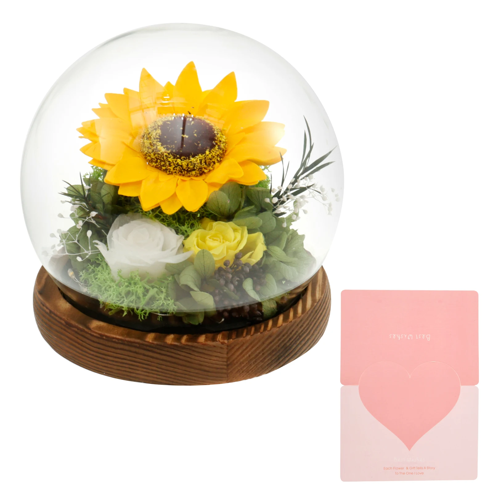 Preserved Flowers Gift with LED Light Beautiful Preserved Sunflowers in Glass Fancy Light Up Sunflower Decorative Sunflower in