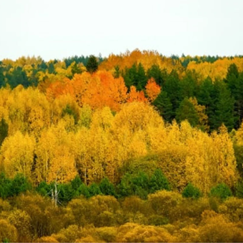 

Портативная наземная станция SIYI MK32 Enterprise, интеллектуальный контроллер с 7-дюймовым сенсорным ЖК-экраном высокой яркости, двойное Full HD-видео