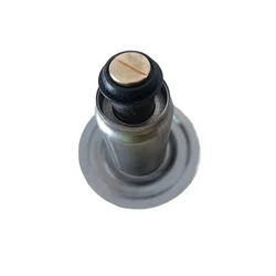Gas Boiler Spare Part Water Circulation Pump Motor Rotor Water Leaves for Protherm INTVACL15/6.7-2, Buderus TSL12/6.7-3C