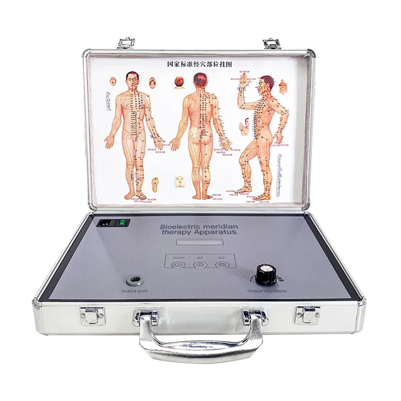 Bioelectric therapy Apparatus magnetic therapy physiotherapy pemf magnetic therapy device