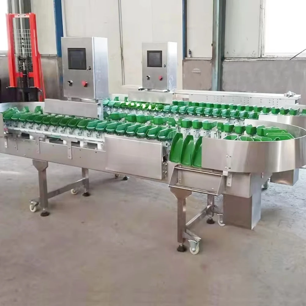High Speed Stainless Steel Conveyor Shrimp Chicken Fish Vegetable Fruit Nuts Frozen Product Sorting Machine High Efficiency