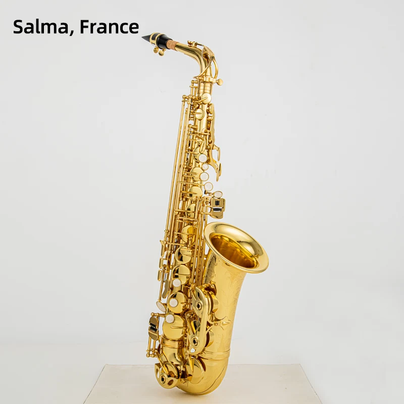 Brass Eb Alto Saxophone Brass Instrument Golden Prelude Model Woodwind Instrument with Carry Case