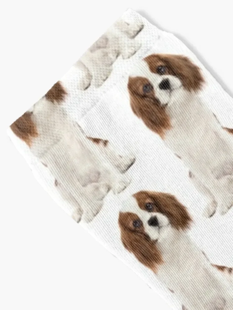 Cavalier King Charles Spaniel Mom Socks crazy winter gifts Novelties football Socks For Women Men's