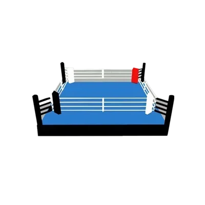 Hot Sales Custom Logo International Standard Boxing Championship Rings Professional Boxing Ring Kick Boxing Ring