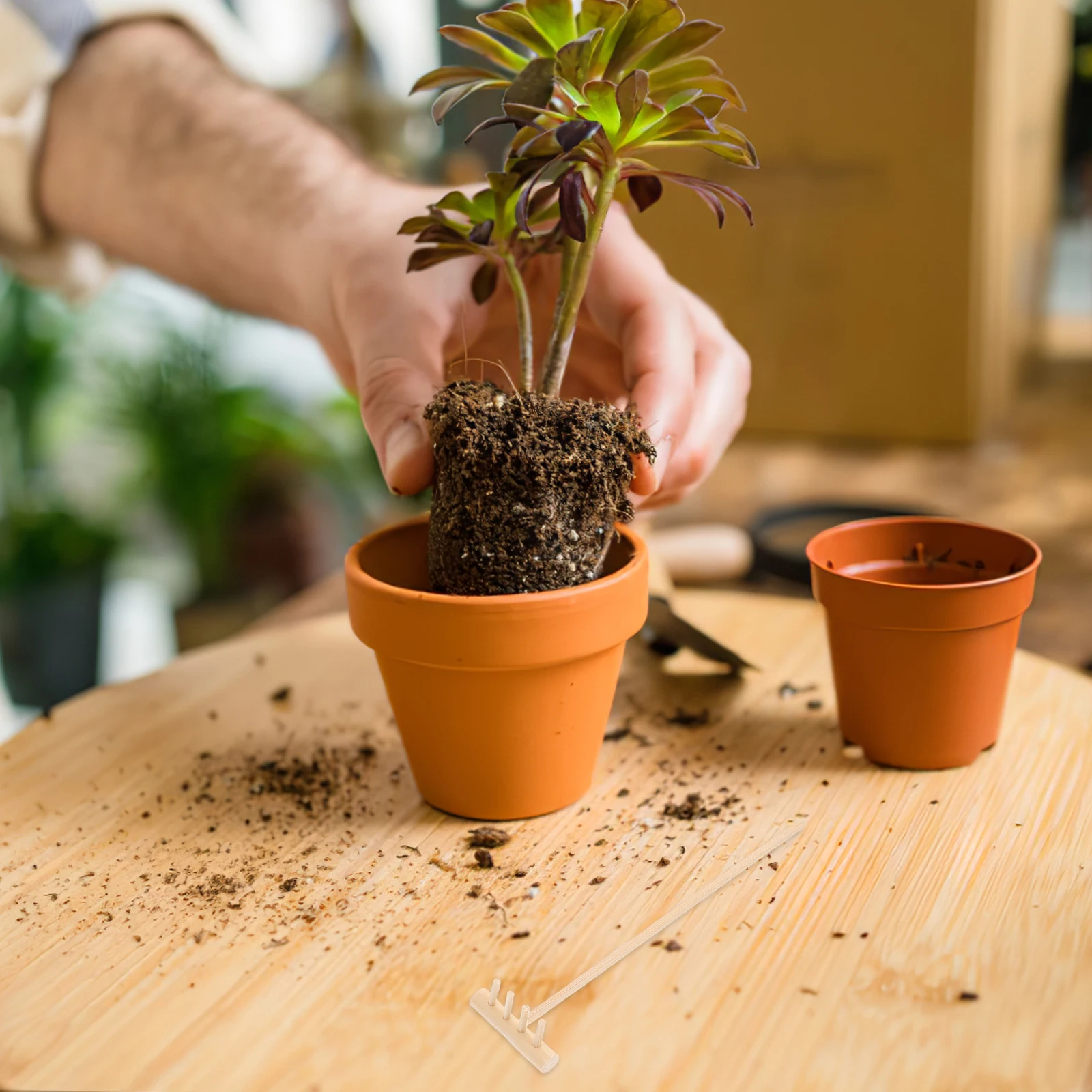 4pcs คราดไม้ไผ่ MINI ขนาดทราย Rake สวนขนาดเล็ก Potted พืชปลูกดอกไม้ Succulent พืชในร่มแบบพกพา