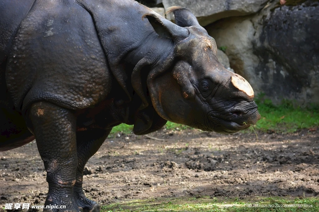 

Улучшенный металлический кронштейн для крепления сервопривода, комплект запчастей для радиоуправляемых машинок WPL, аксессуары для детей