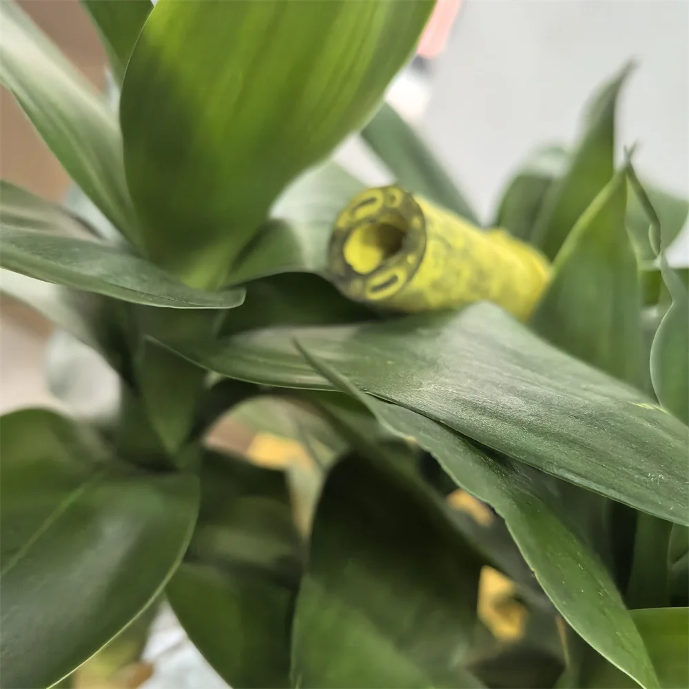 5Pcs. W523-2110 Ton…