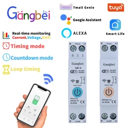 Tuya WiFi disjuntor, interruptor de energia inteligente, 16A, Homekit com temporizador, 1P, 63A, Gangbei