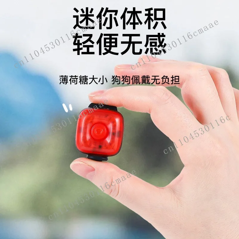 Pet LED dog luminous pendant, luminous anti-lost light, night dog walking light Teddy
