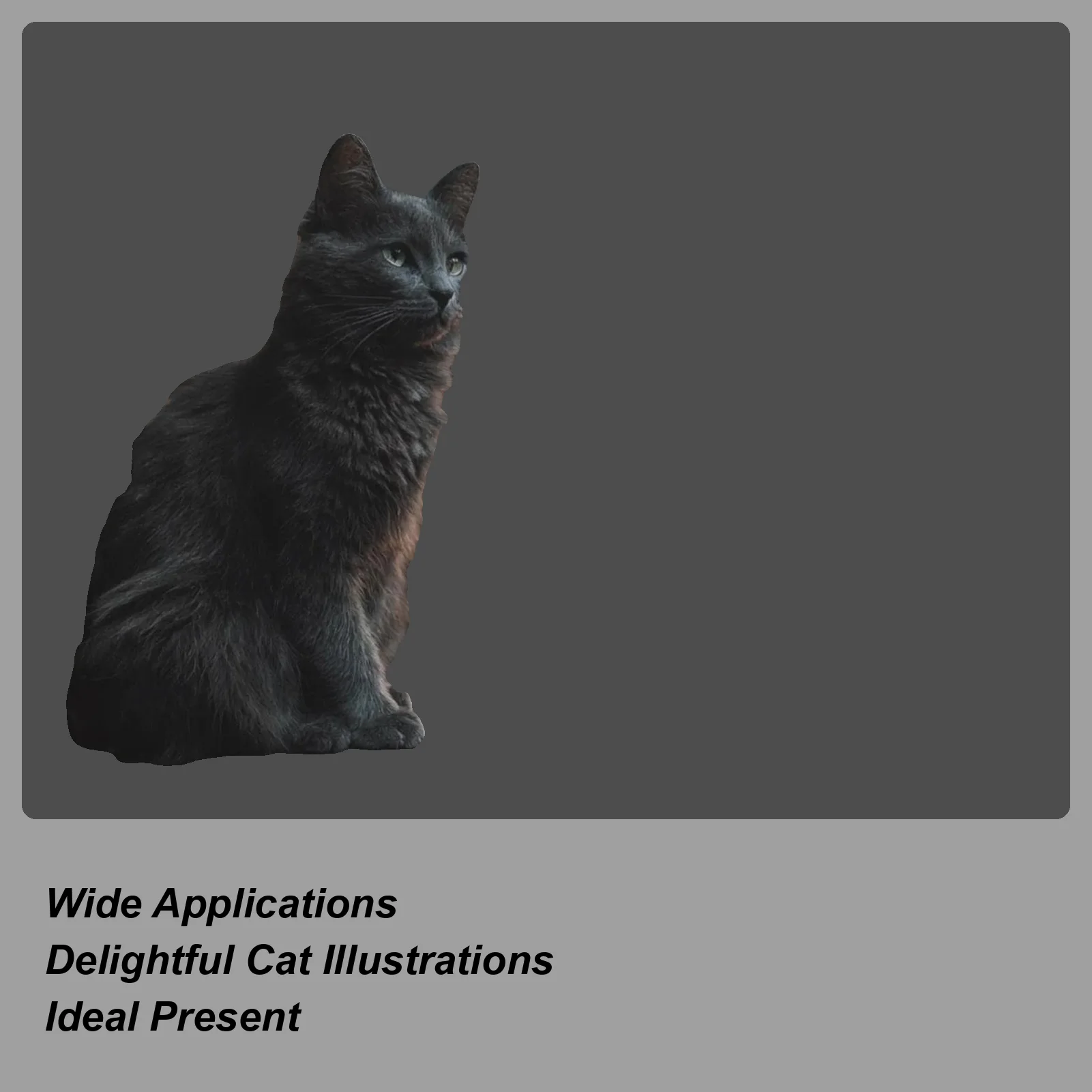 

Cat Calendar 2026 Jan Dec 2026 Wall Planner Cat Theme Monthly Calendar For Home Study Room Office School Planning Scheduling