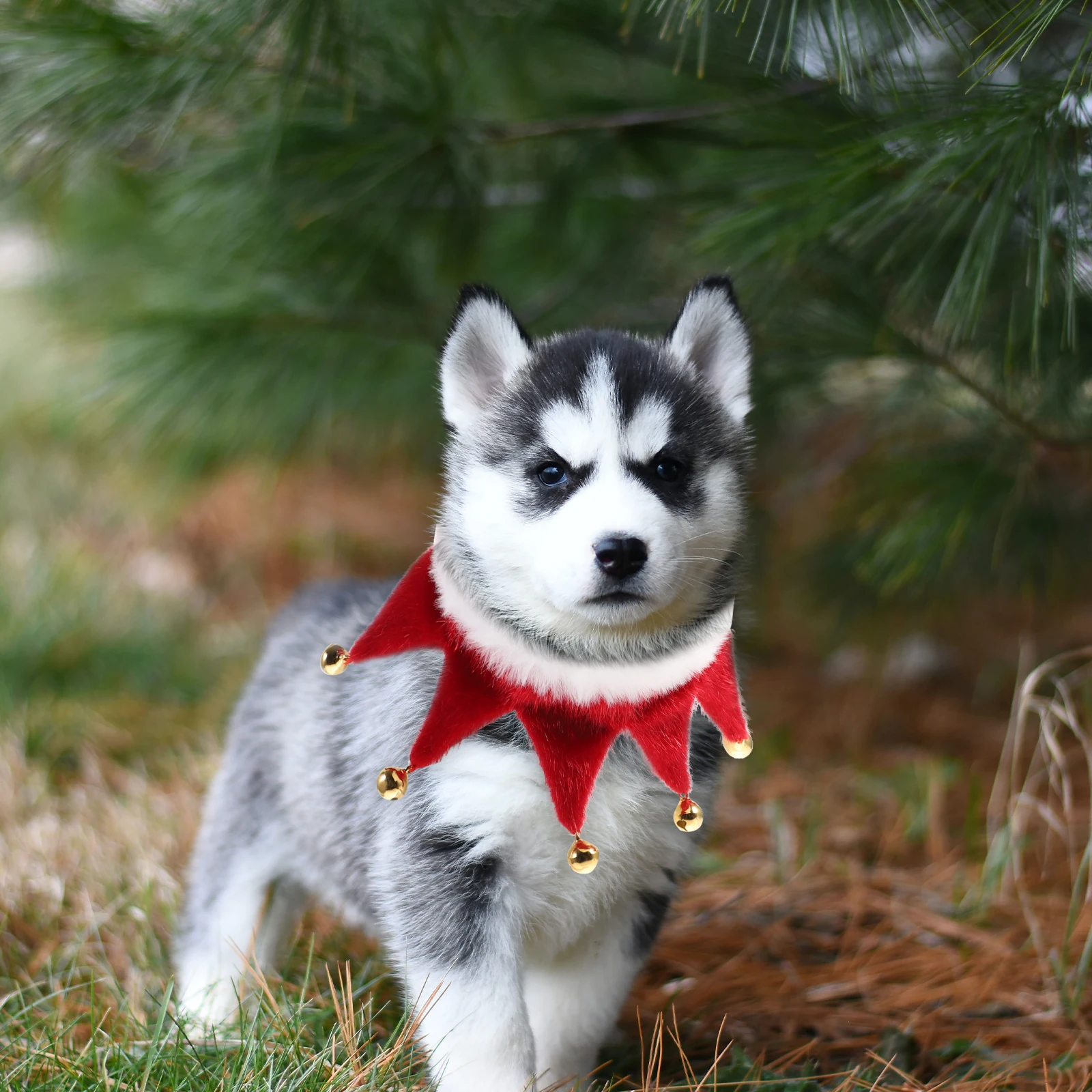 

Skirt Bell Scarf Father Has Pet Accessories Christmas Jingle Collar Dog for Small Dogs