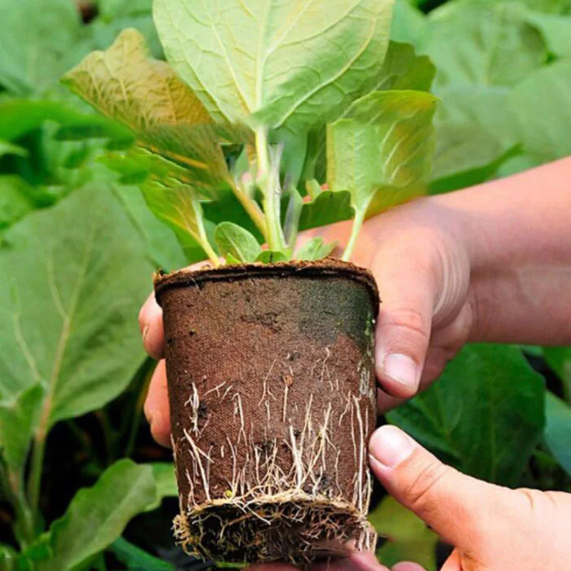 Pote de papel para cultivo de plantas, caixa de cultivo, bandeja, semente, plantador de vegetais, iniciador, flor, erva, biodegradável, ecológico,