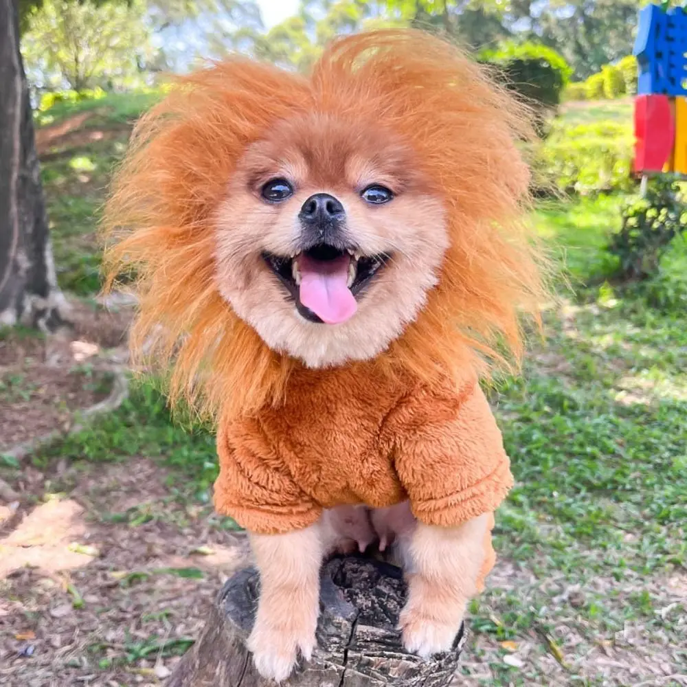 Cute Golden Lion Dog Clothes Lion Shaped Coral Velvet Dog Cosplay Clothes Soft Warm Dog Winter Warm Clothes Cosplay Party