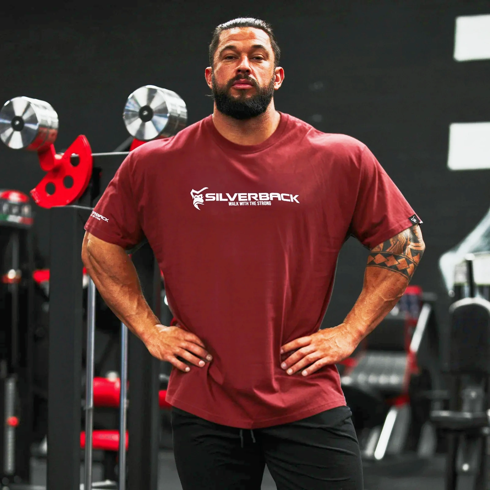 SILVERBACK GYM Men T-shirt Sports Cotton Short Sleeves Loose Tee Shirts Bodybuilding Fitness Comfortable Slim Fit Tees Tops