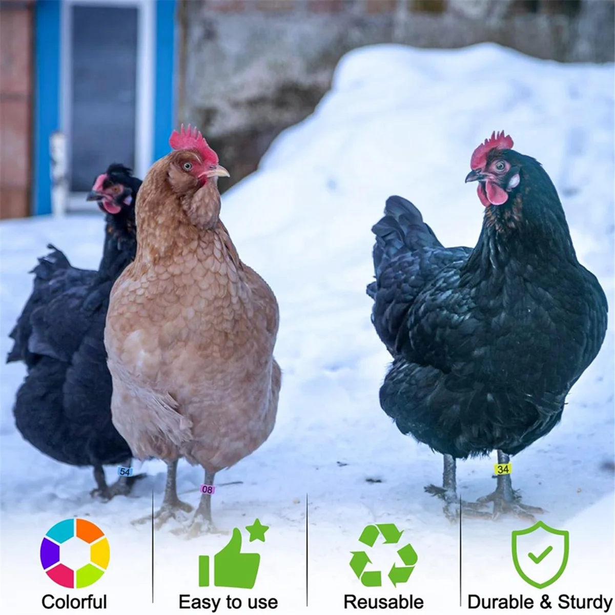 Neue 80 Stück 16 mm Hühnerbeinbänder mit 8 Farben, buntes 01-80 nummeriertes Huhn, Identifikationsbeinbänder, Enten-Geflügel-Beinschild