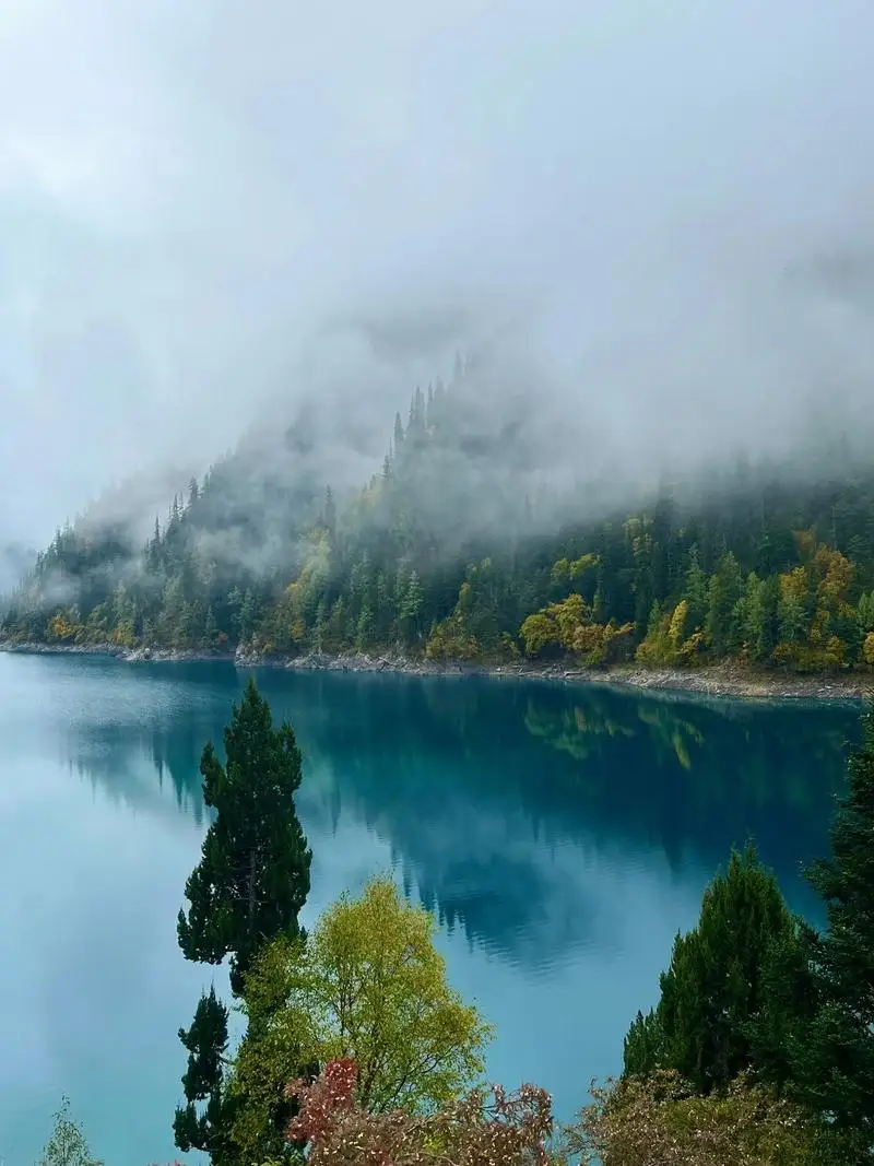 

Дробилка для льда 17,5/24 см, дробилка для льда из нержавеющей стали, долото для удаления льда, посуда для льда, инструменты для бармена, аксессуары для бара, посуда для бара