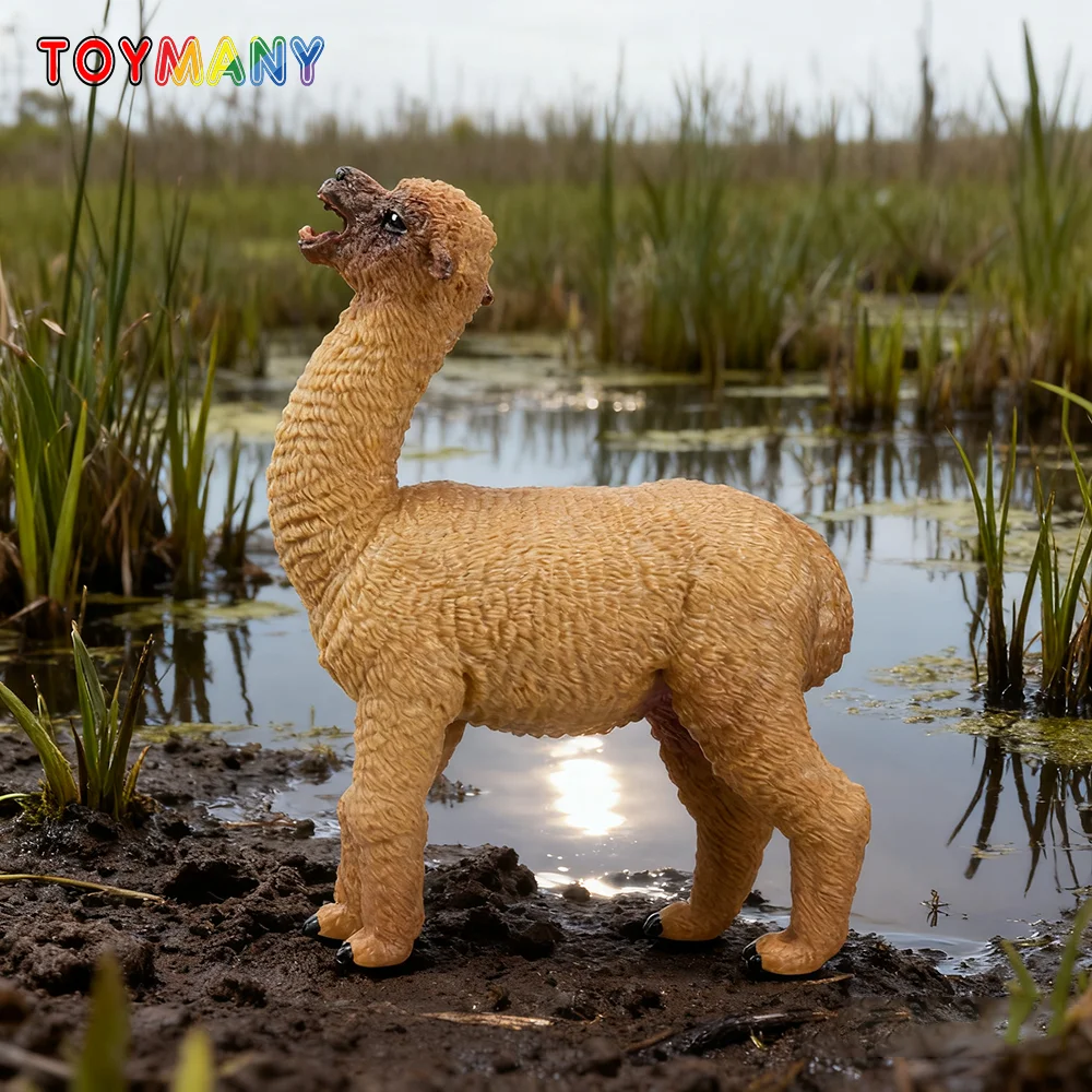 Toymany براون أنثى الألبكة عمل تمثال صغير الحياة البرية نماذج للحيوانات محاكاة دمية للأطفال هدية #5