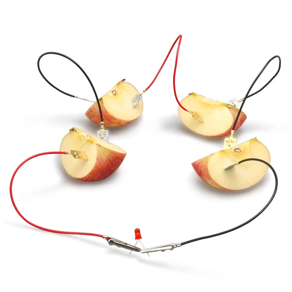 

3Sets Fruit Science Experiment Kit Potato Lemon Physics Teaching Electronic Clock Educational Stem Project