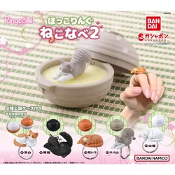 Bandai Origina Japan Gashapon Cute Figurine Cat Ring Model Kawaii Anime Figure Keychain Gachapon Capsule Toys Gift