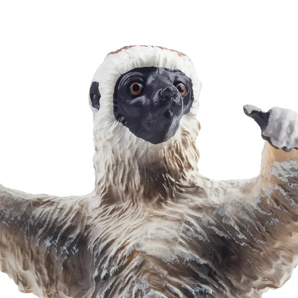 Toymany محاكاة Verreaux سيفاكا مدغشقر نماذج للحيوانات لعبة شخصيات صغيرة دمى عمل التماثيل لعب الأطفال هدية كعكة ديسمبر