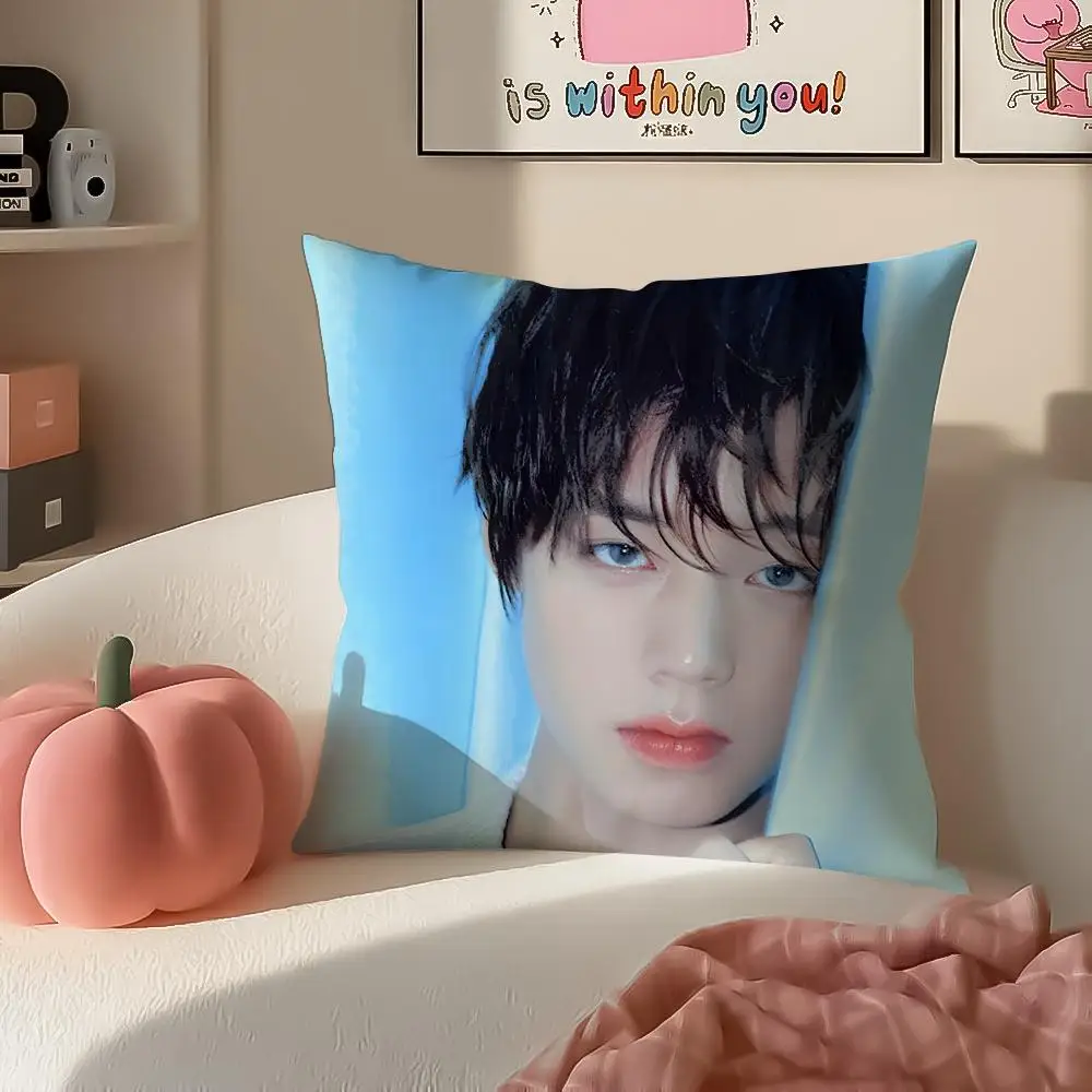 1pc Bedroom Living Room Pillow Cover, Polyester 2D Double-Sided Print, K-Pop Idol Portrait Cushion, Perfect Gift for K-Pop Fans