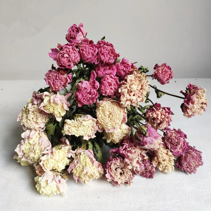 

10Pcs Wedding Accessories Natural Dried Flower Peony Bouquet Christmas Decoration Bohemian Decor Home Style Artificial Ornament