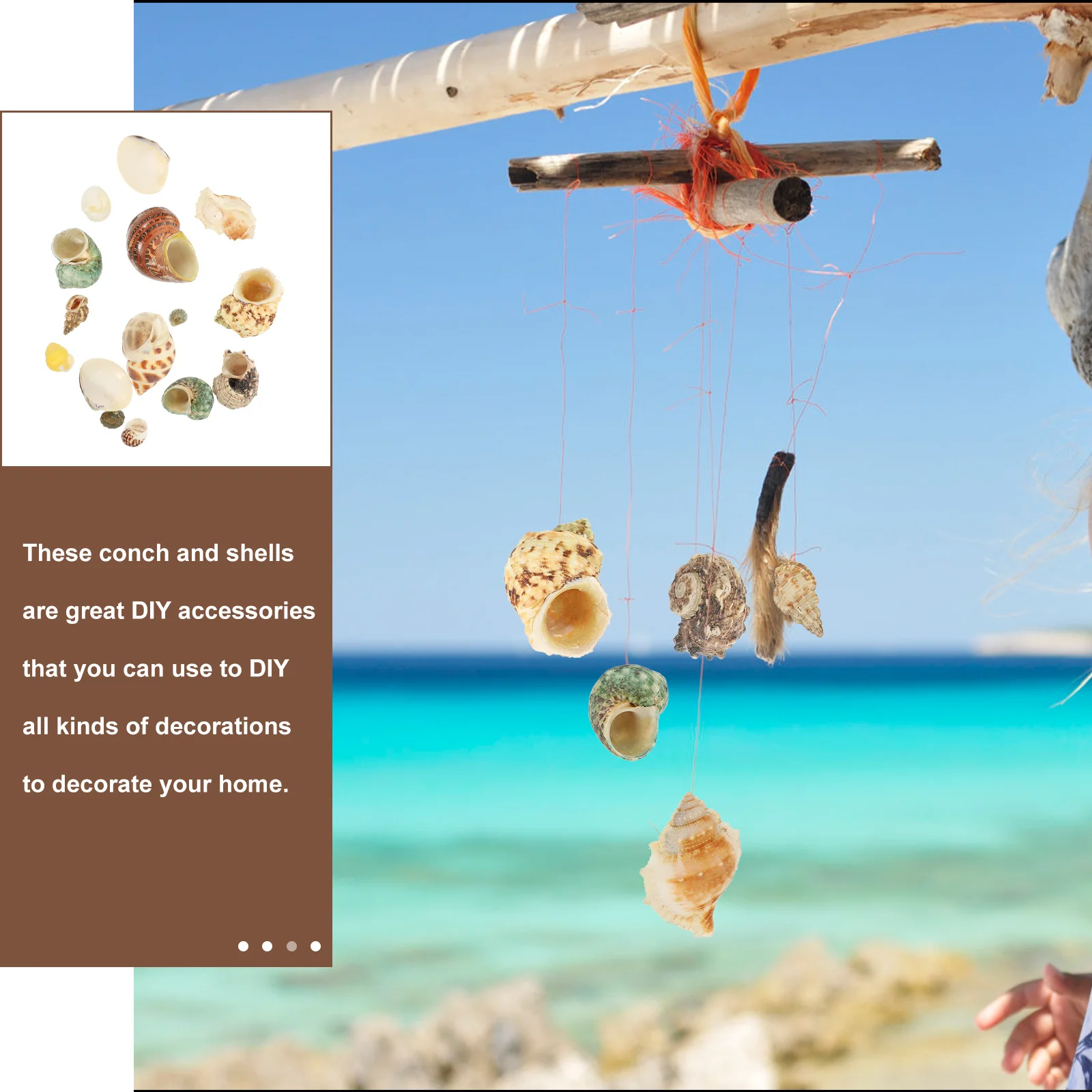

1Set Natural Seashell Aquarium Decoration Set Durable Safe Fish Tank Shell Ornament Landscaping Shelter Adornment