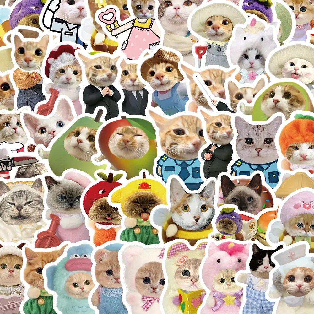 

10/62Pcs New Funny Cat Meme Waterproof Graffiti Sticker Aesthetic Decorative Luggage Laptop Phone Guitar Scrapbook Kids Stickers