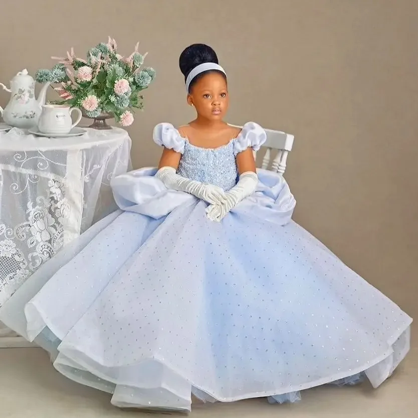 

Light Blue Flower Girl Dresses Pageant Gown for Wedding Sequins Scoop Neck Floor Length Birthday Party First Communion Gowns