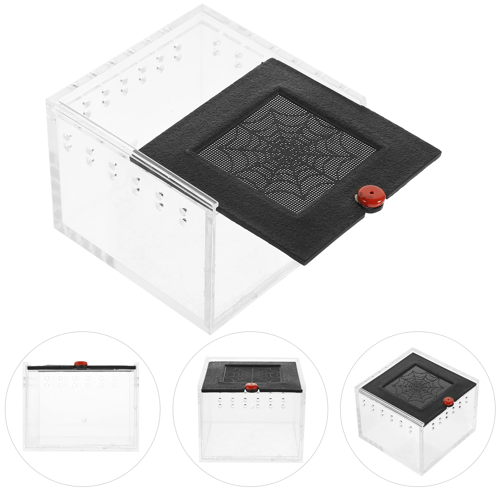 Clear Acrylic Reptile Feeding Boxes 4