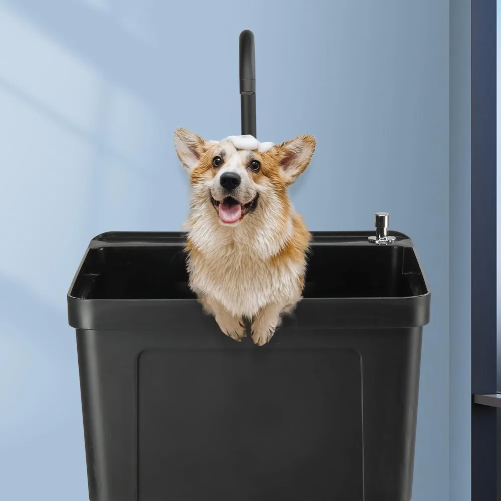 حوض بلاستيكي قائم بذاته مع صنبور ساخن وبارد، وأرجل حديدية باللون الأسود