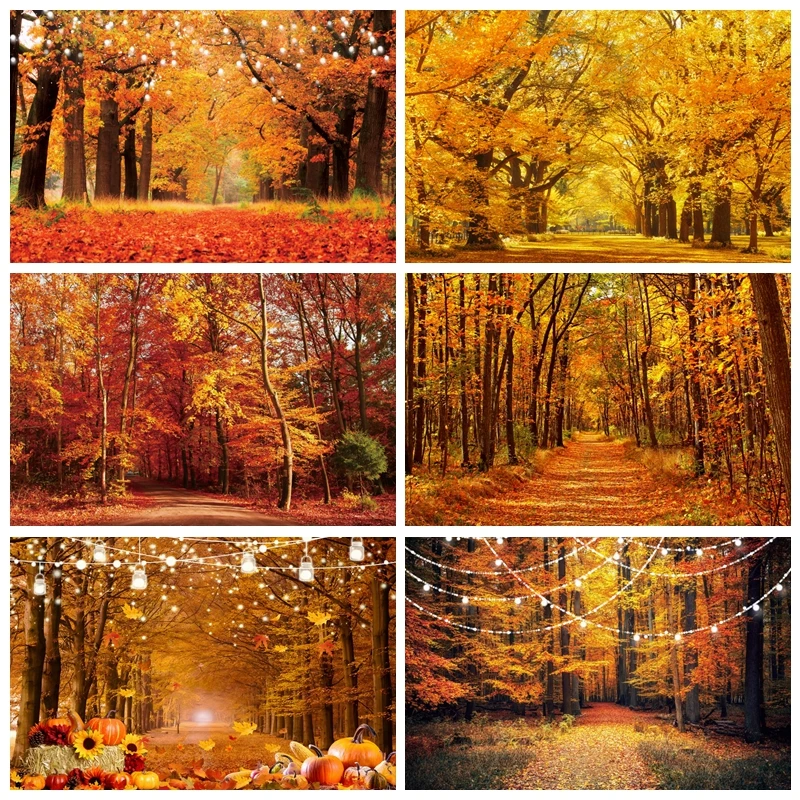 

Natural Autumn Forest Backdrops Photography Harvested Golden Fall Mable Background Baby Portrait Photographic Photo Studio Prop