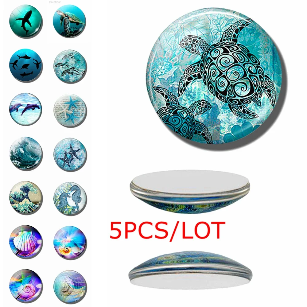 5PCS/SET Sea Turtle Dolphin Seashells Photo 12/16/20/25/30mm Glass Cabochon Jewelry DIY Pendant Jewelry Findings Accessories