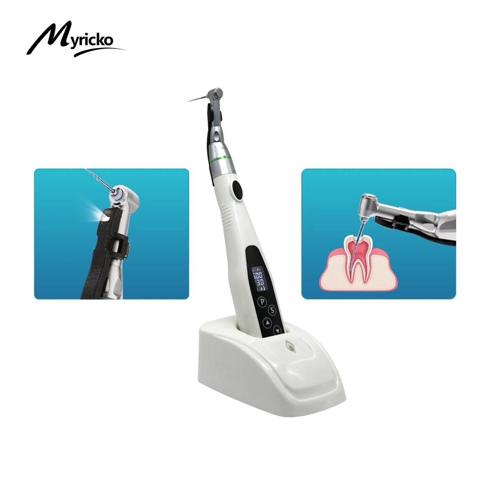 Dental Wireless Endo Motor with LED Lamp 16:1 Standard Contra Angle Handpiece Endodontic Instrument Dentist Teaching Model