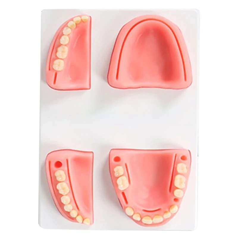 AB68 Dentistry Demonstration Equipment Dental Teaching Teeth Model Suture Pad Practice Mold Soft Module Oral Training Skill
