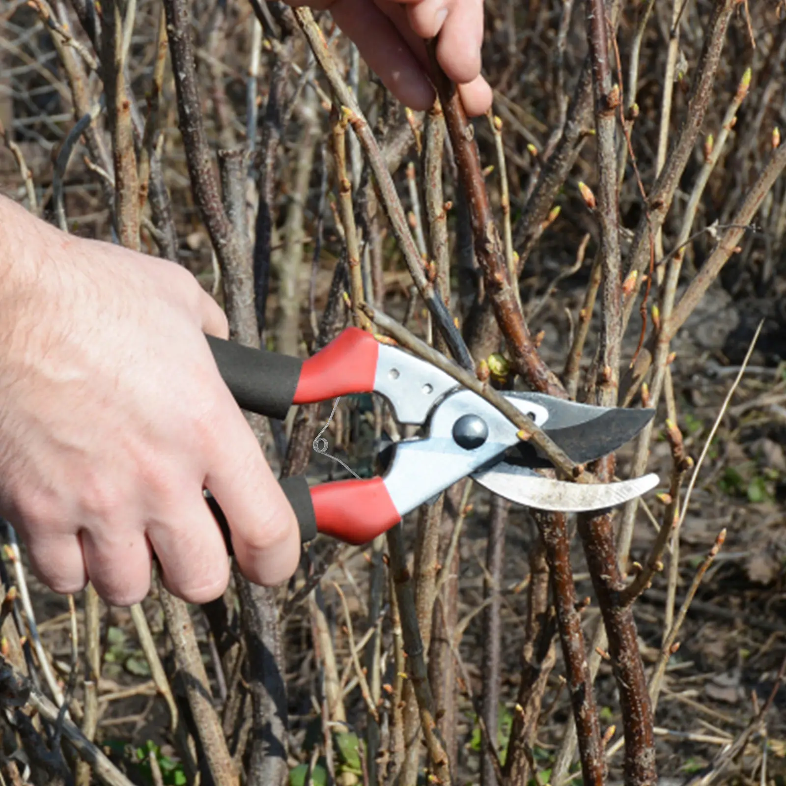 

10 шт. V-образных стальных пружин для секаторов, сменные пружины для садовых ножниц и ручных секаторов