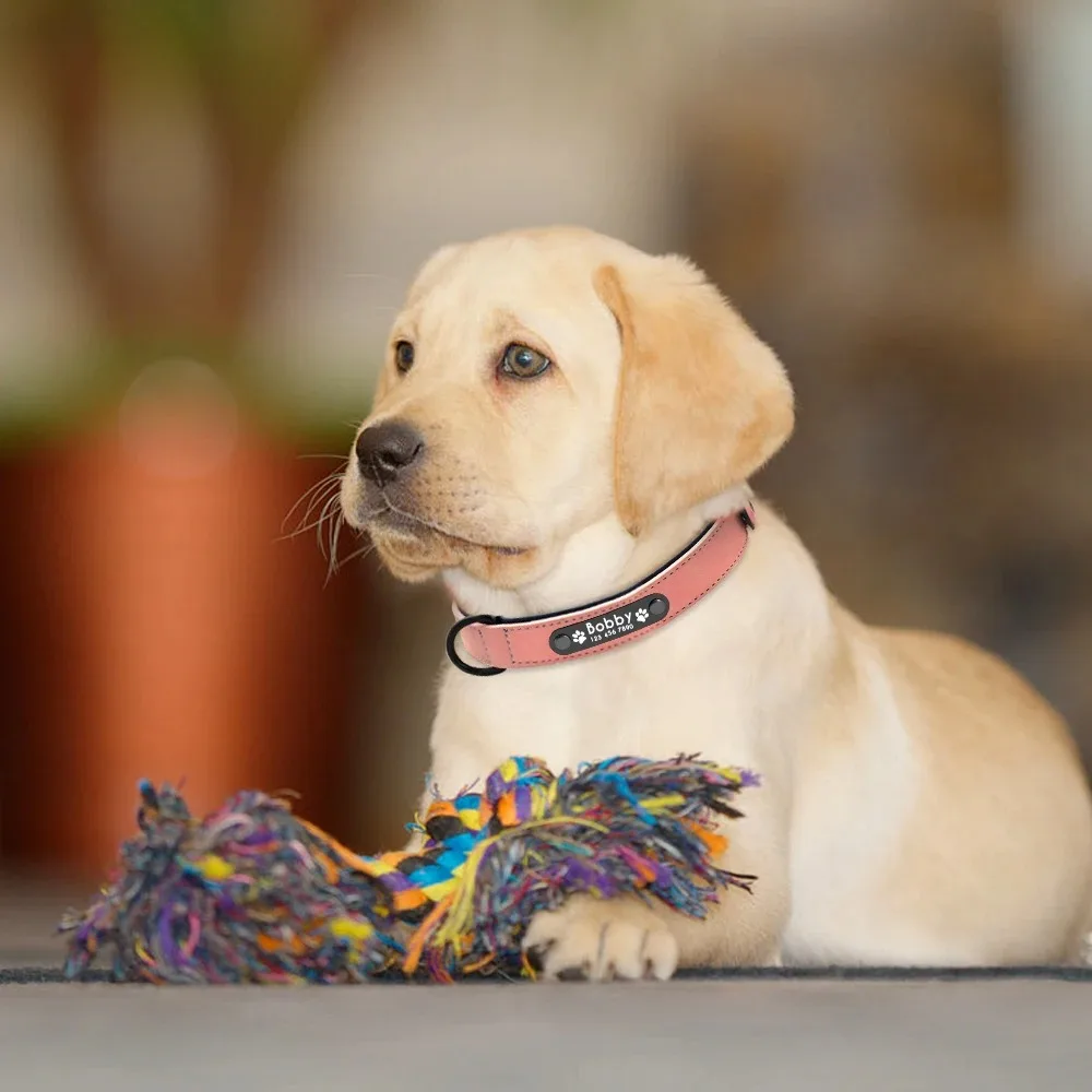 Personalisierte individuelle Hundehalsbänder aus Leder mit Namens-ID-Tags für kleine/mittlere/große Hunde: Einzigartige Haustierzubehör für Pitbull, Bulldogge und Beagle – Detail 17