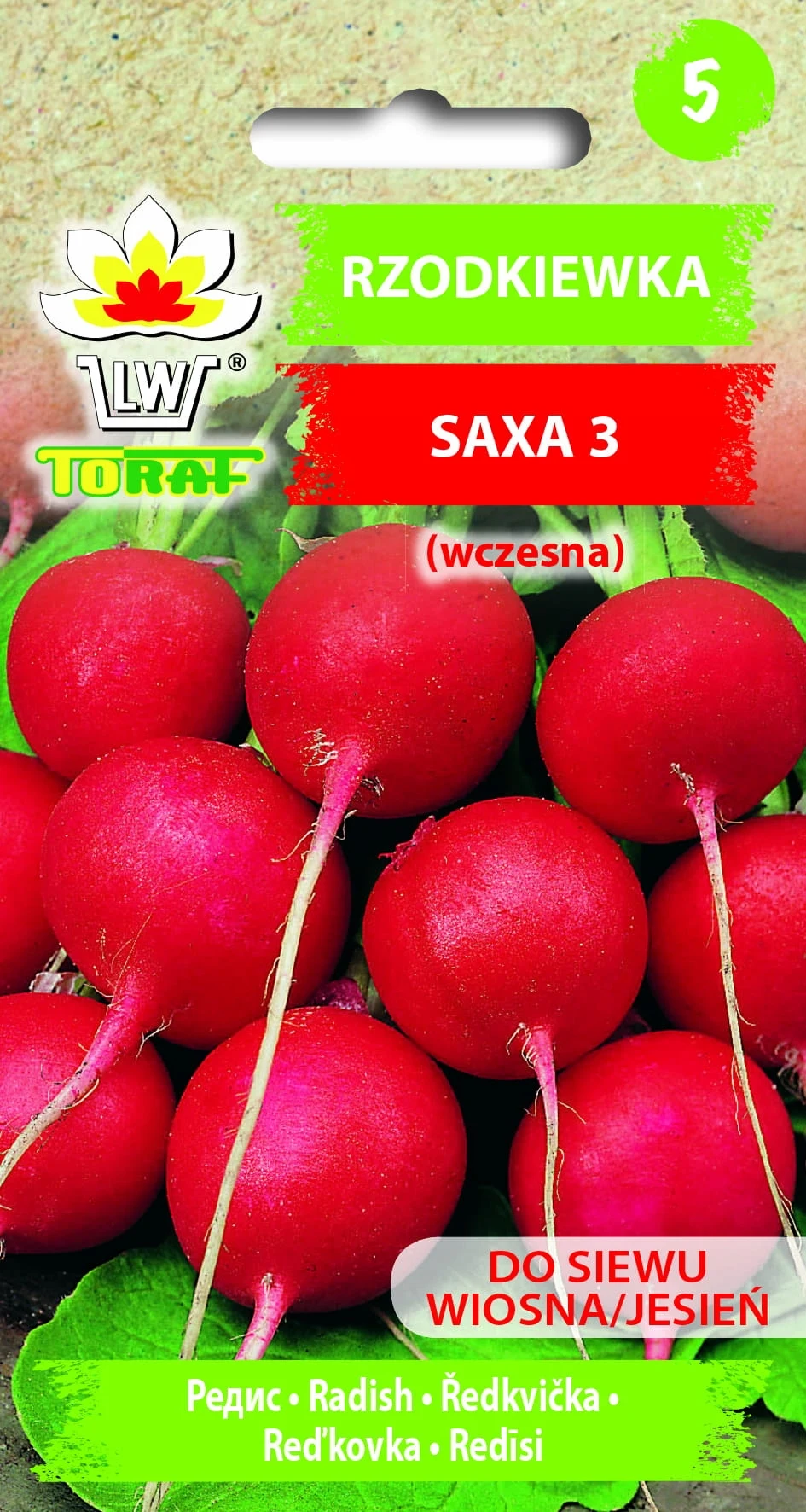 Bild 3: Gemüsesamen Radieschen SAXA 3 rund rot Früh 10g Toraf 224