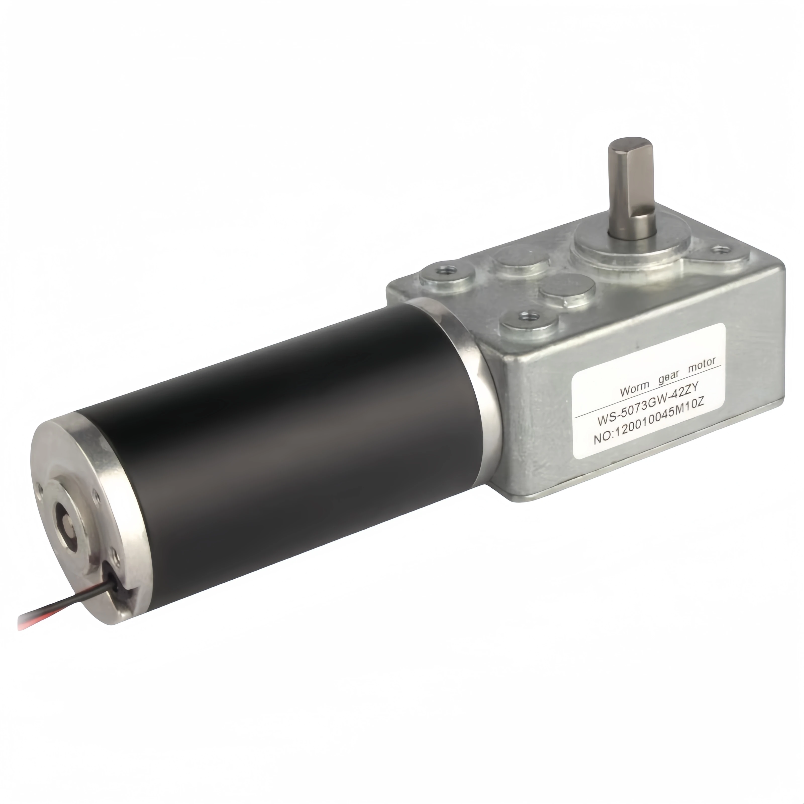 Turbine scroll DC reduction motor Adjustable speed gear small motor High torque self-locking motor WS-5073GW-42XY-DC-12V-5rmp